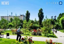 Система полива в Шымкенте восстановлена