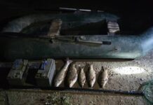 На реке Сырдарья задержали рыбаков с электроудочками браконьеры