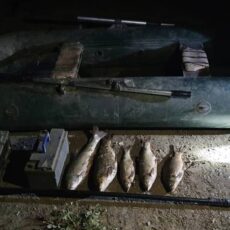 На реке Сырдарья задержали рыбаков с электроудочками браконьеры