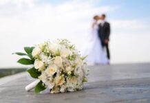 В Шымкенте стали чаще жениться и реже разводиться