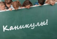 Школьные каникулы в Казахстане могут сократить каникулы