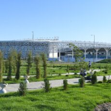 Умирзак Шукеев: За каждым деревом нужен уход Туркестан