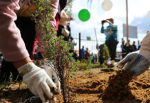 Правительство Казахстана рассмотрело вопросы улучшения экологии экология
