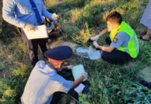 Полицейские Туркестанской области изъяли у местного жителя полкило гашиша гашиш