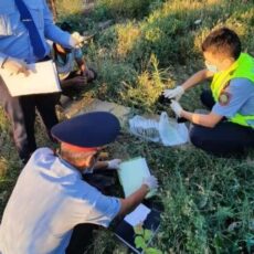 Полицейские Туркестанской области изъяли у местного жителя полкило гашиша гашиш