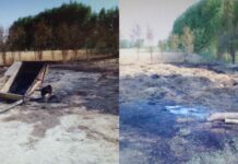 Не поделили сено: мужчина устроил пожар во дворе дома брата