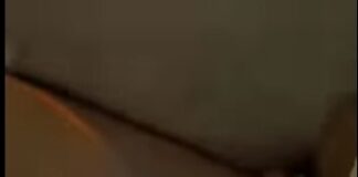 Акимат Туркестанской области: Это не обрушение арки Караван-сарая, а плановый ремонт арка