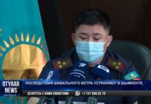 Ураган в Шымкенте: Две школы будут полностью восстановлены подрядчиками