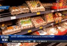 Статус города-миллионника придал новый импульс развитию Шымкента