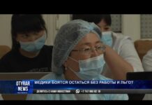 Медики Шымкента выступили против перехода в частную медицинскую компанию