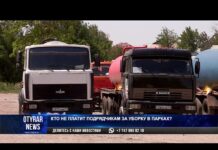 Кто не платит подрядчикам за уборку в парках?