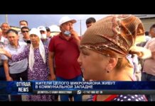 Воду с грязью и червями пьют жители Шымкента