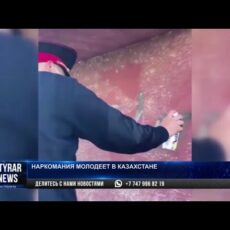 Женщины и подростки: 20 тысяч наркозависимых насчитали в Казахстане