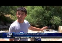 Жители Толебийского района перекрыли дорогу, ведущую в зону отдыха