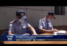 Больше пятисот иностранцев находились в Шымкенте незаконно