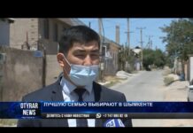 В Шымкенте выбирают лучшую семью