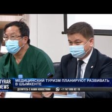 Медицинский туризм планируют развивать в Шымкенте
