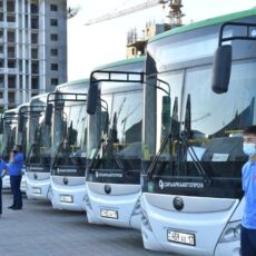 В Шымкенте появились шесть новых автобусных маршрутов автобус