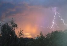 В Шымкенте ликвидируются последствия урагана