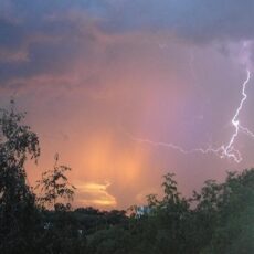 В Шымкенте ликвидируются последствия урагана