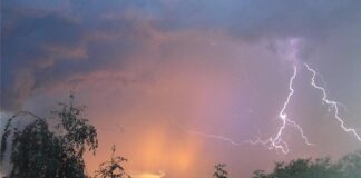 В Шымкенте ликвидируются последствия урагана