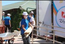 3500 нуждающимся семьям шымкентцев оказана помощь волонтер