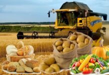 В Шымкенте приоритет отдается переработке агропродукции продукты