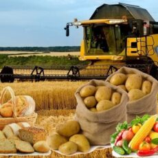 В Шымкенте приоритет отдается переработке агропродукции продукты