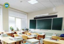 Насилие над 7-летним школьником: от должностей отстранены директор и заместитель директора школы школа