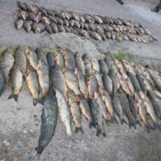Браконьеры из Келеса получили срок за 100 кг сазана