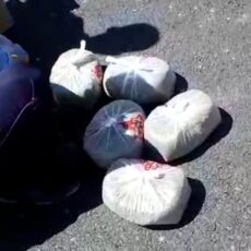 В Туркестанской области задержали мужчину с 5 килограммами марихуаны марихуана