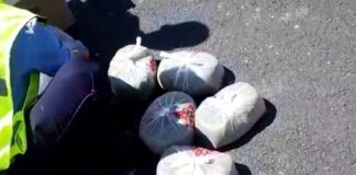 В Туркестанской области задержали мужчину с 5 килограммами марихуаны марихуана