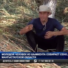 Помощь сеном: Такую акцию организовал парень из Шымкента