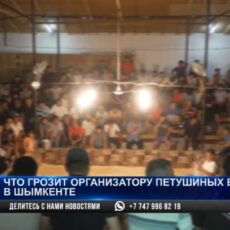 В Шымкенте проводили петушиные бои во время карантина