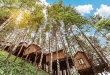 Oi-Qaragai: жемчужина южной столицы Oi-Qaragai