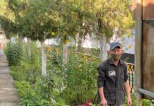 Осужденный колонии в Шымкенте вырастил цветочный сад сад