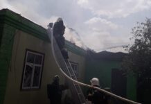 Пожарные Шымкента предотвратили взрыв газового баллона пожар