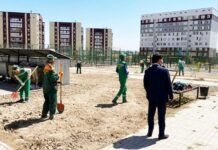 В Шымкенте благоустраивают дворы микрорайона Нурсат двор