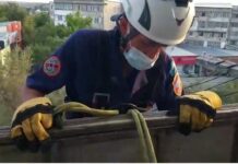 Спасатели Шымкента помогли пожилой женщине