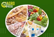 На сколько месяцев хватит продовольственных запасов в Казахстане продукт