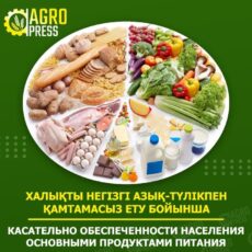 На сколько месяцев хватит продовольственных запасов в Казахстане продукт