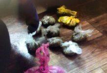 Учителя сельской школы из Байдибека приговорили к 10 годам тюрьмы за сбыт наркотиков