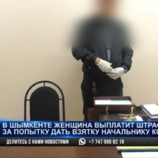VIP-условия для мужа на зоне обойдутся жене в 3 млн тенге штрафа