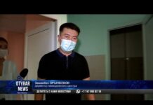 Как в Шымкенте будут заселять студентов в общежития