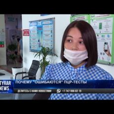 Прямо противоположный результат: Почему «ошибаются» ПЦР-тесты