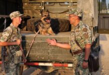 Охранники родных рубежей граница