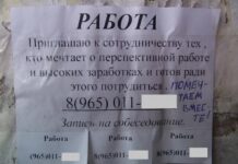 Сетевая служба занятости