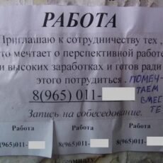Сетевая служба занятости