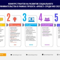 В Казахстане запускается конкурс грантов на развитие социального предпринимательства для НКО