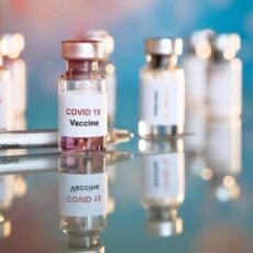 В Шымкент завезли одобренную ВОЗ вакцину Vero Cell вакцина